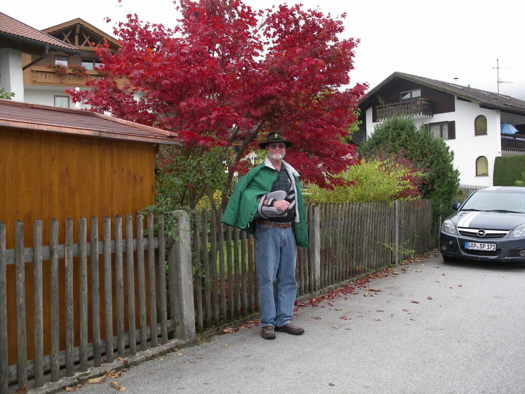 A Person Standing on a Sidewalk in Front of a Wooden Fence and a Tree With Red Leaves